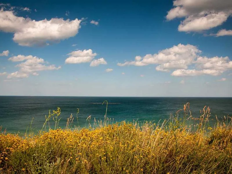 동두천맨홀막힘