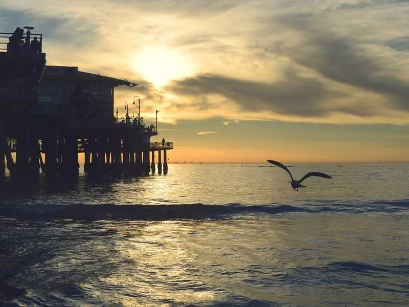 동두천변기막힘