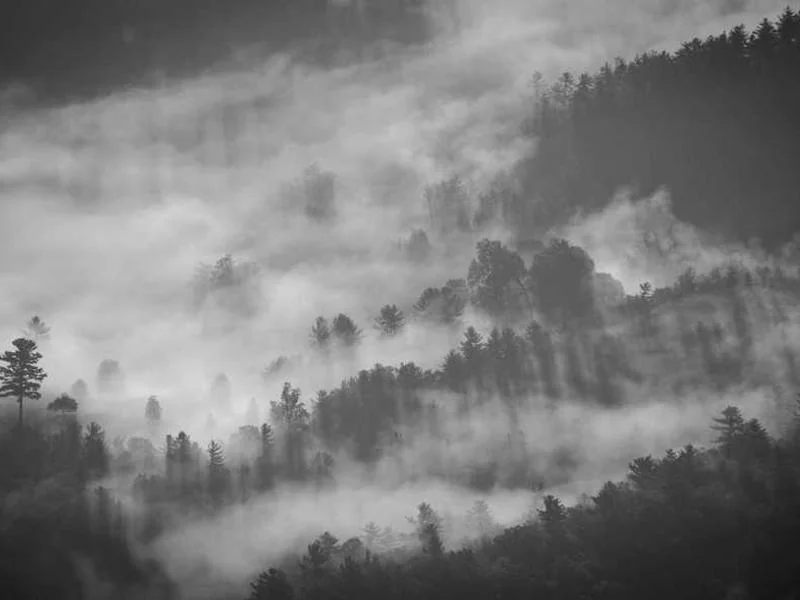 동두천변기막힘