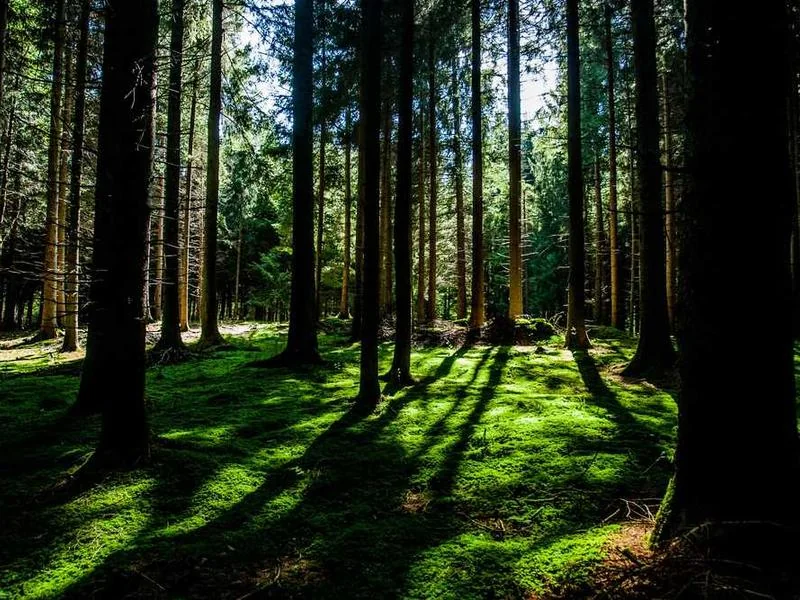 동두천싱크대막힘