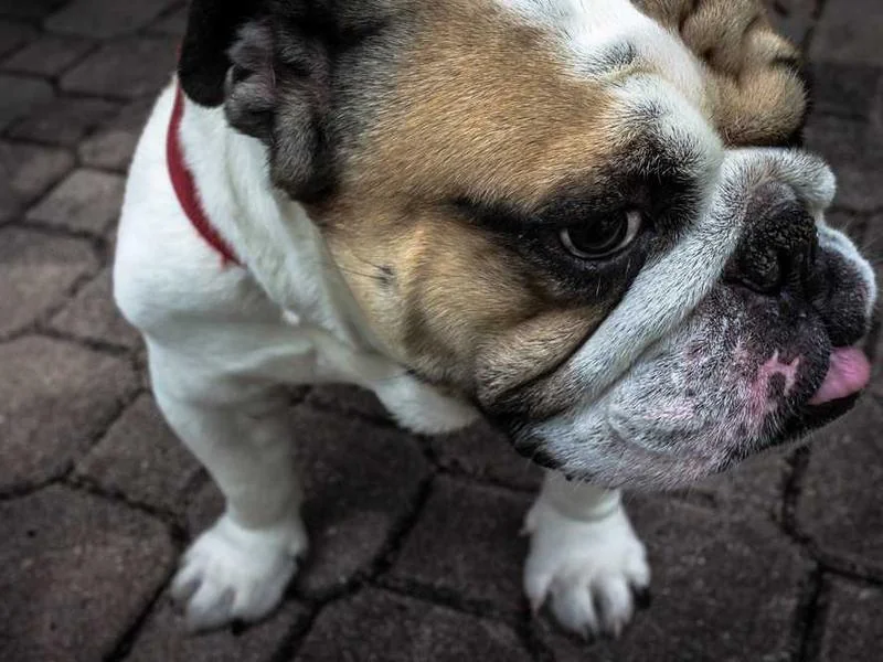 동두천싱크대역류