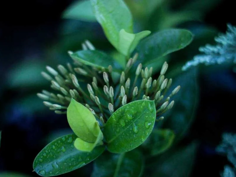 동두천하수관막힘