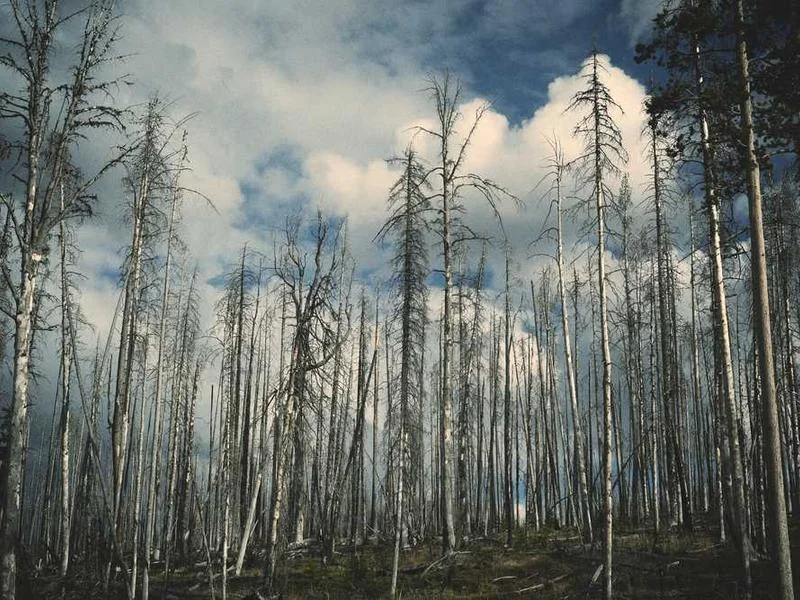 동두천하수관막힘