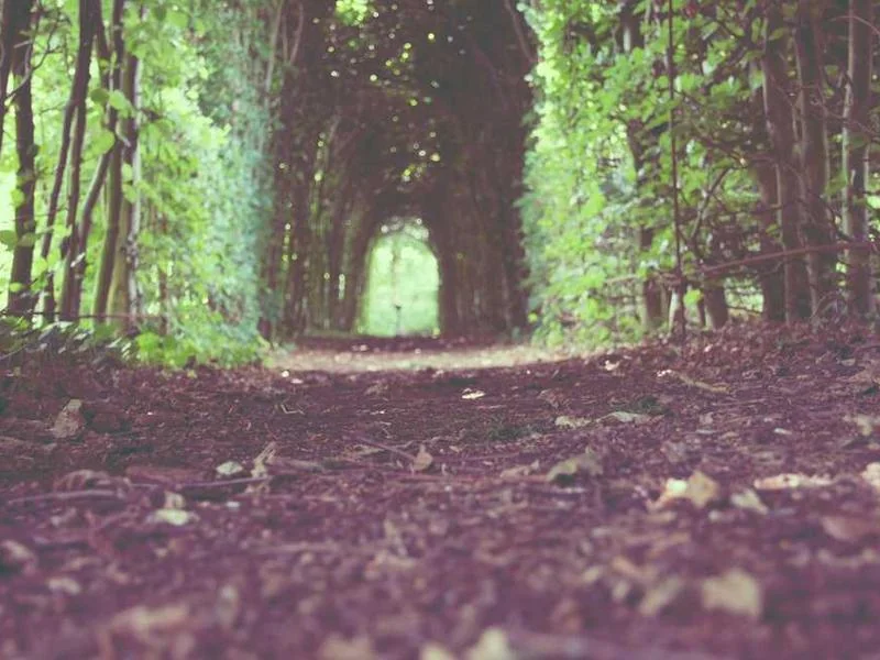 동두천하수구긴급출동