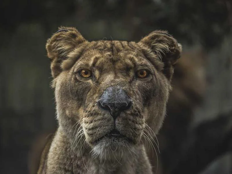 동두천하수구뚫는업체