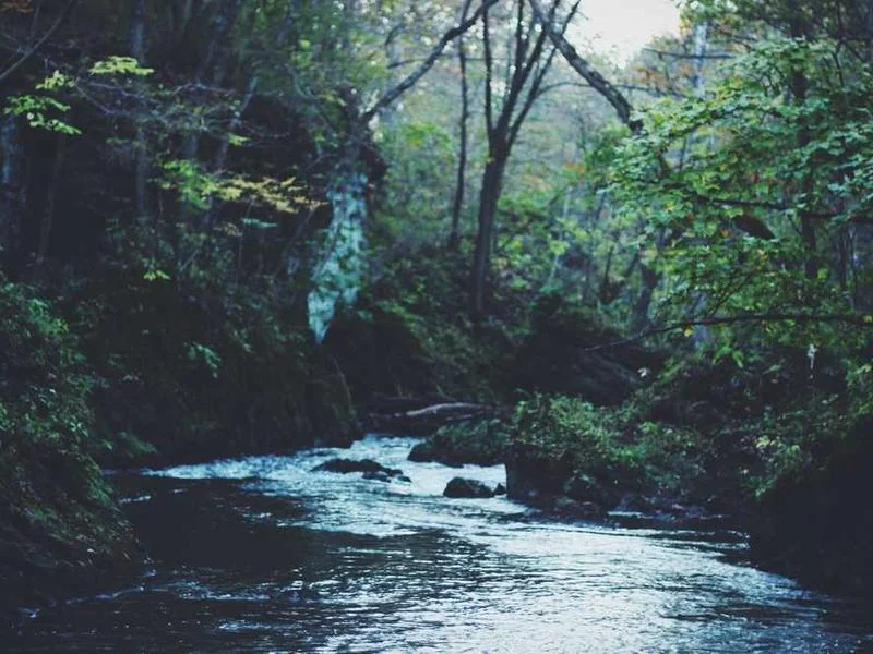 동두천하수구막힘